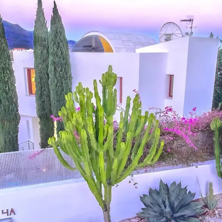 White Nueva Andalucia * Марбелья